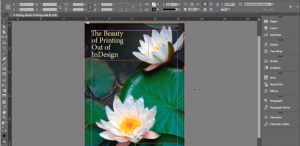 adobe-indesign-book-cover