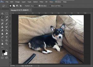 How to Remove unwanted object using Photoshop