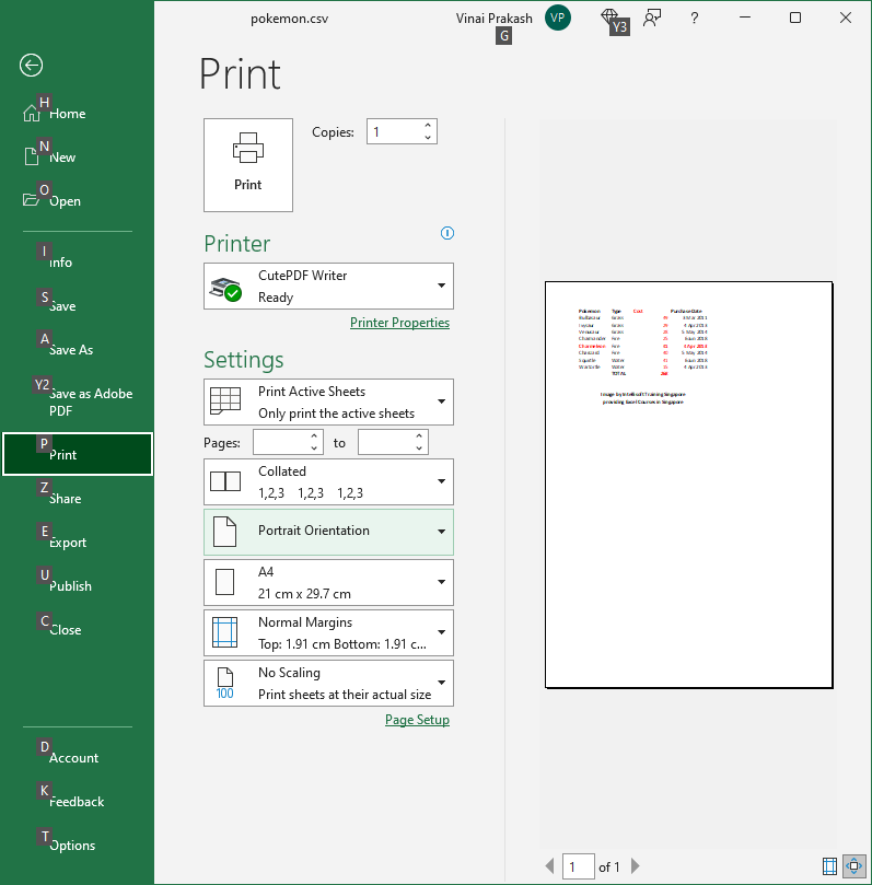 How to Print in Excel?