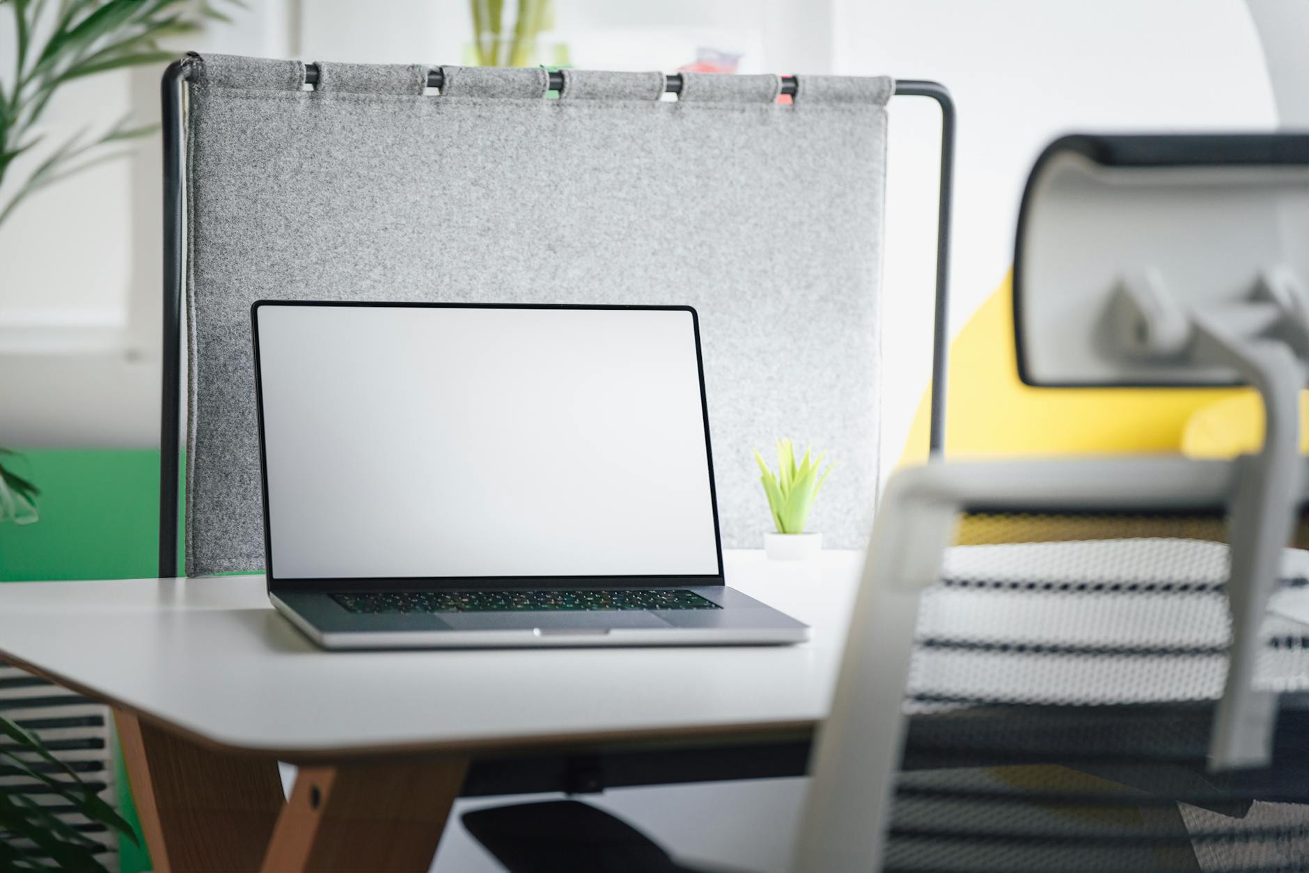 A grid of colourful Canva design templates on a laptop screen