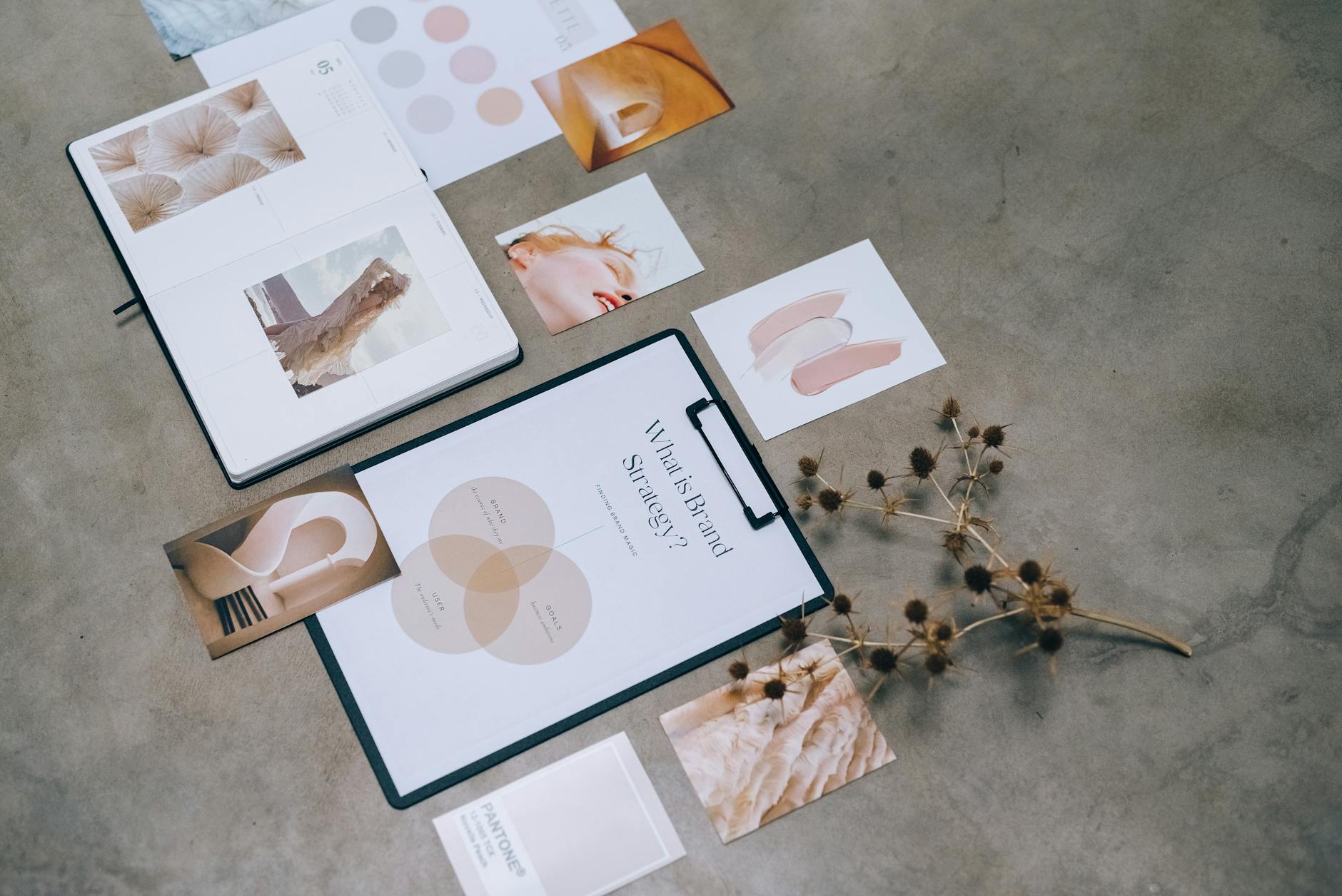 Brand colours and logo laid out for a Canva Brand Kit setup