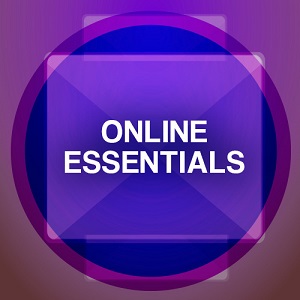 Online Essentials Web Based Concepts