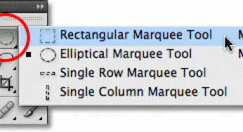 Use the Rectangular Marquee Tool in Photoshop